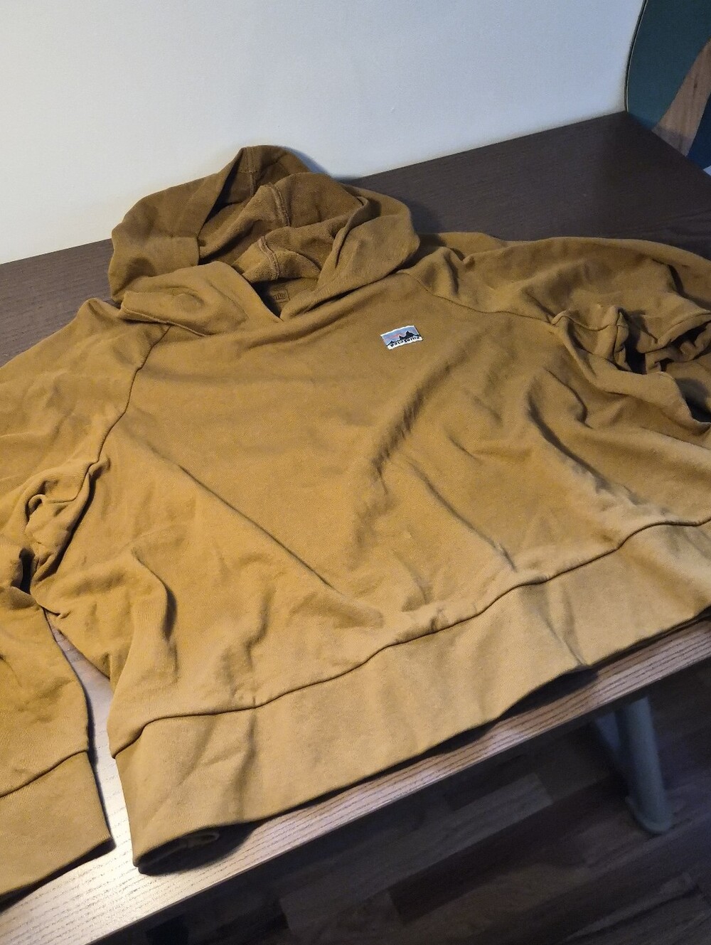 Patagonia 100% Cotton Women's Boxy Essential Hoodie in Shelter Brown - Picture 5 of 6